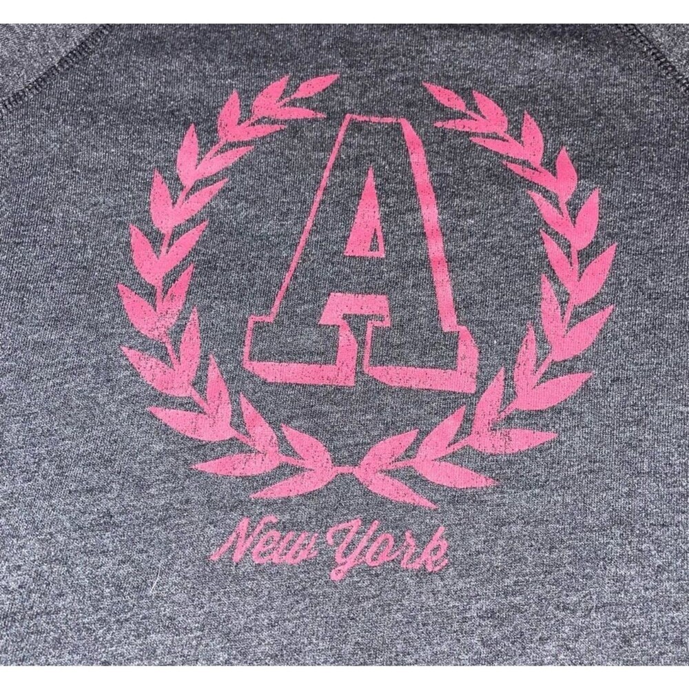 Aeropostale New York lightweight pullover hooded sweatshirt charcoal gray XS - Picture 4 of 5